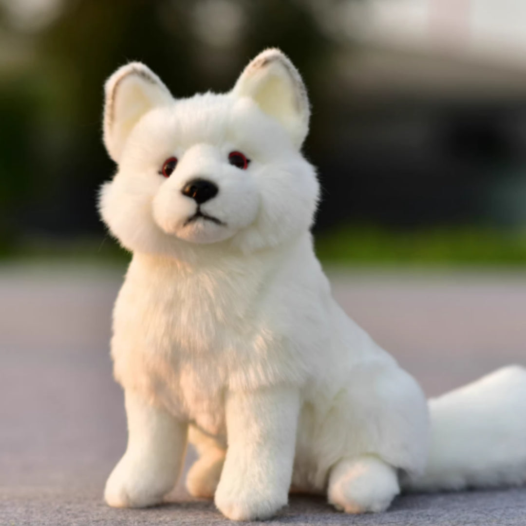 Animal Dolls, And Plush Toys