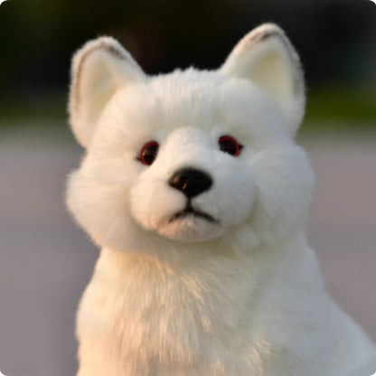 Animal Dolls, And Plush Toys