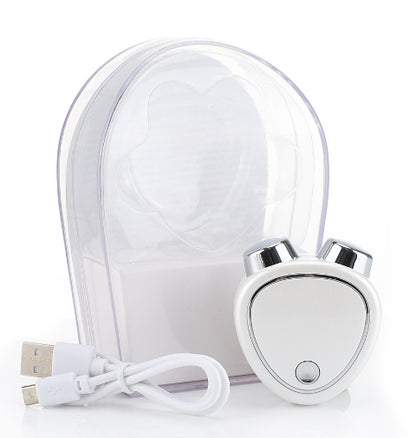 Micro Current Beauty Instrument Roller
